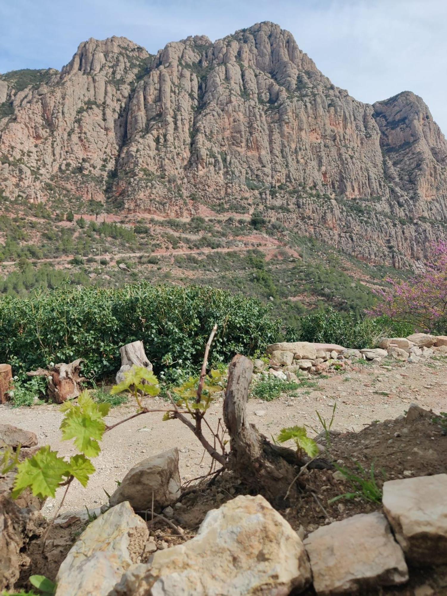Cal Simon- Casa A Montserrat Collbató Exteriér fotografie